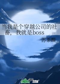 当我是个穿越公司的社畜，我就是boss