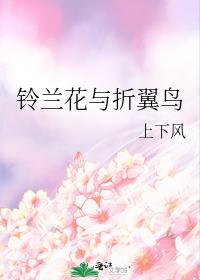 铃兰花与折翼鸟