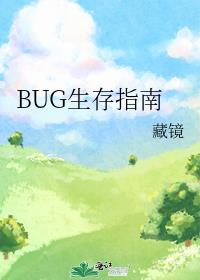 BUG生存指南