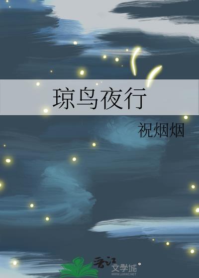 琼鸟夜行