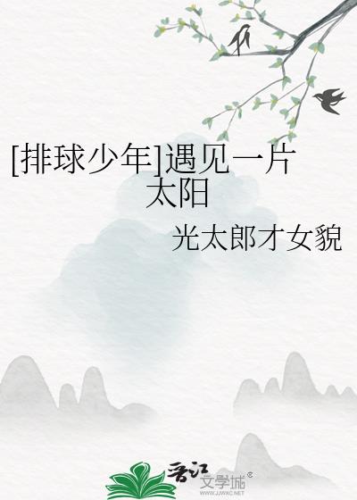 [排球少年]遇见一片太阳