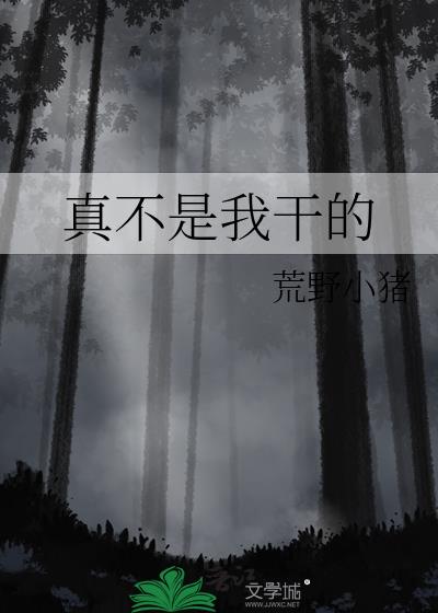 真不是我干的