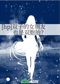 [hp]双子的女朋友也是双胞胎？