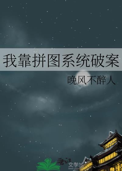 我靠拼图系统破案