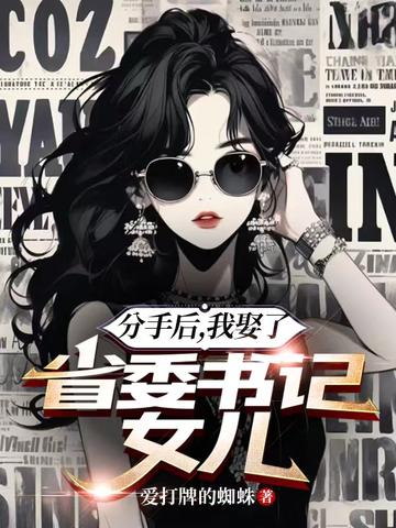 分手后,我娶了省委书记女儿