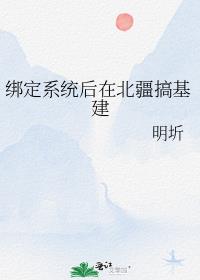 绑定系统后在北疆搞基建