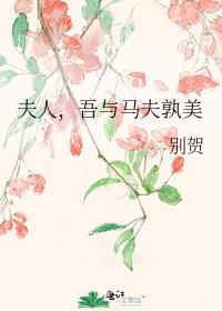 夫人，吾与马夫孰美