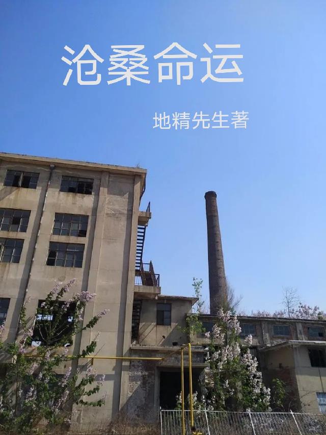 沧桑命运