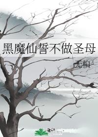 黑魔仙誓不做圣母