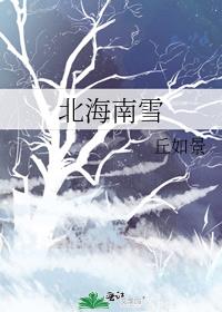 北海南雪